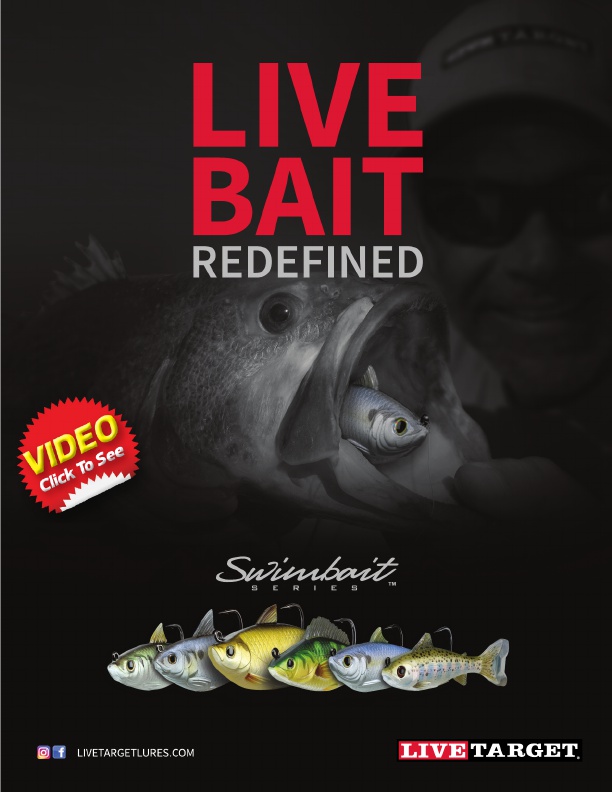 Live Target Video Review of New Swimbait Series